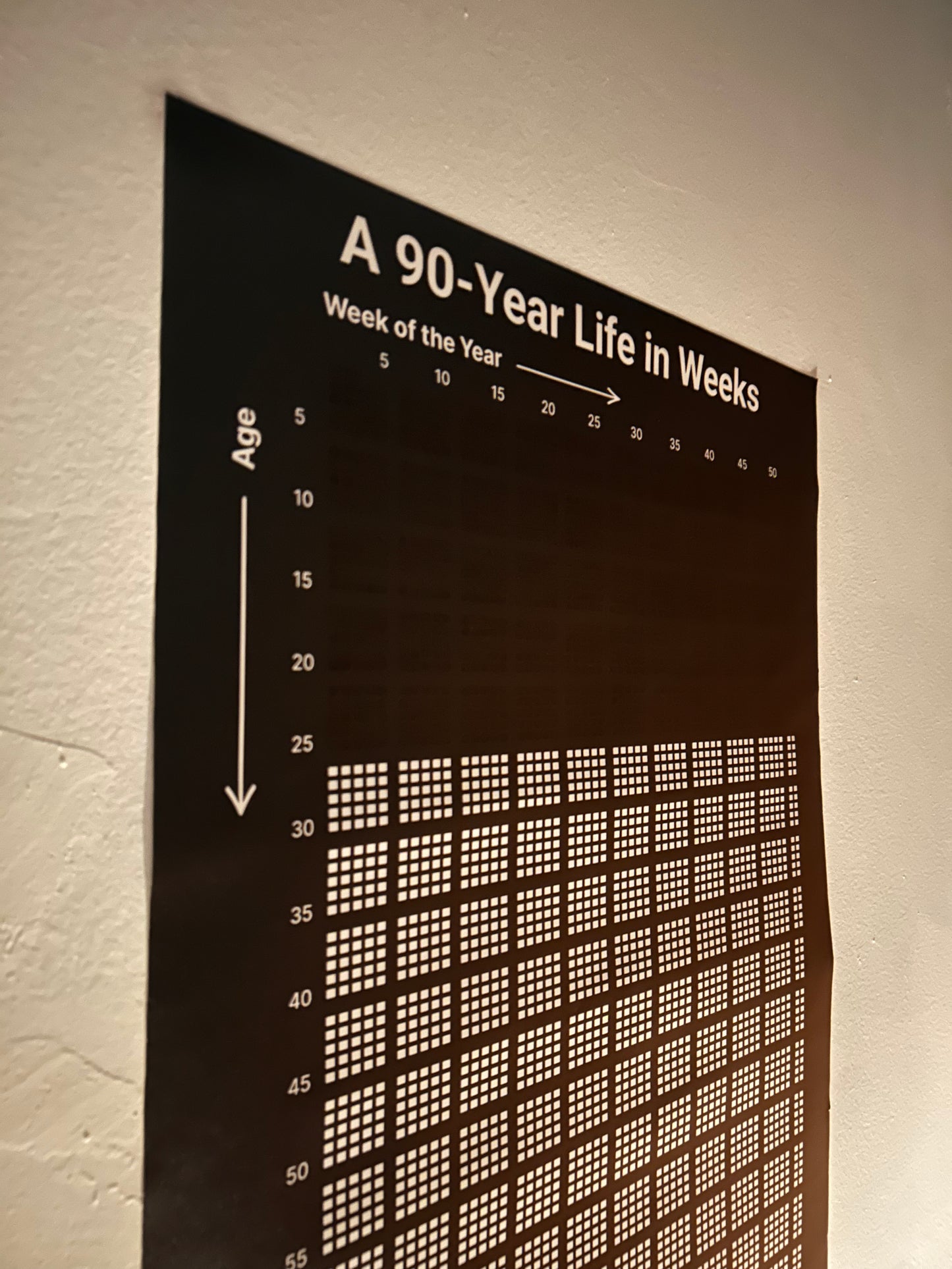 Track Your Life - Week by Week for 90 Years
