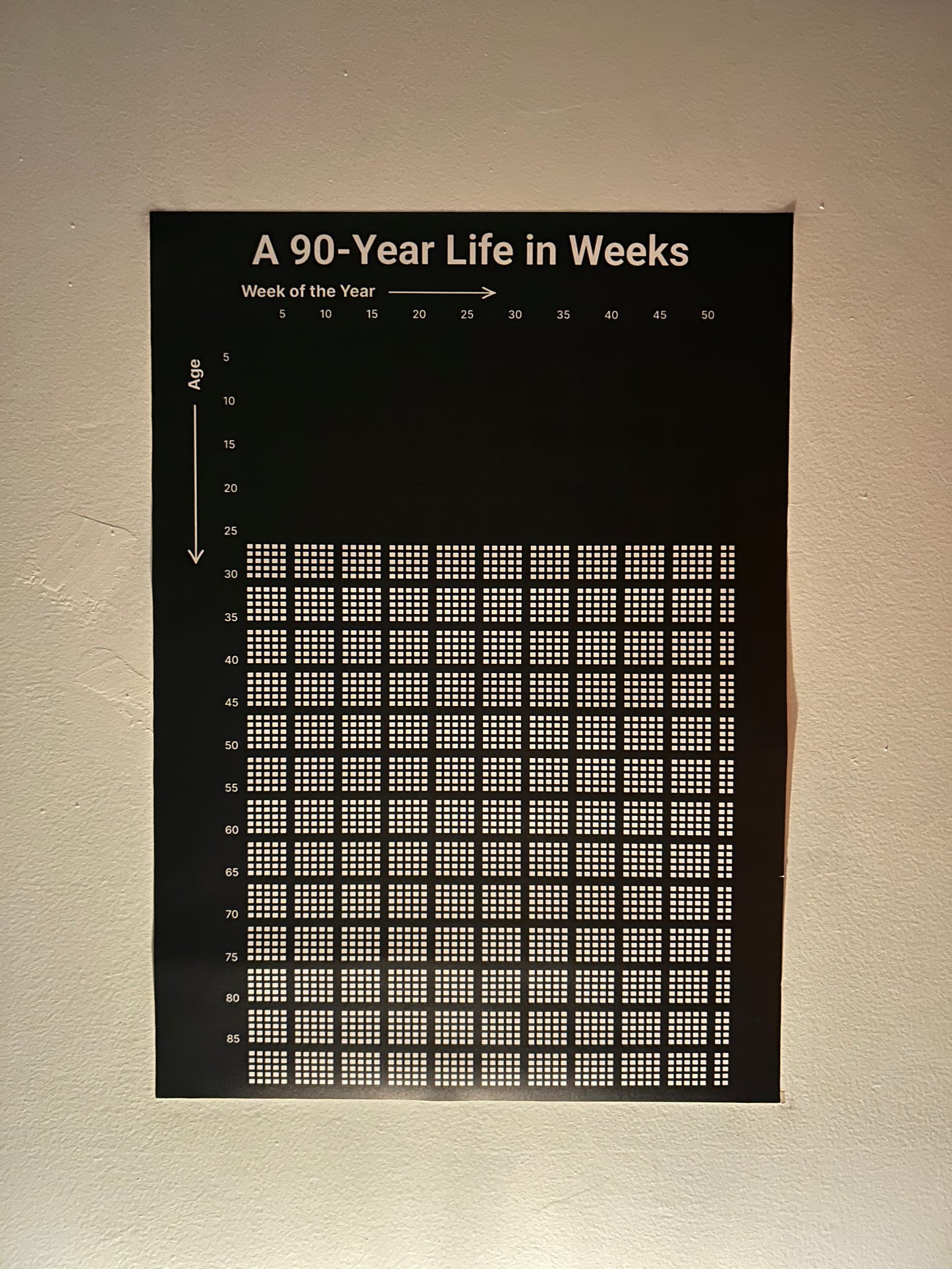Track Your Life - Week by Week for 90 Years