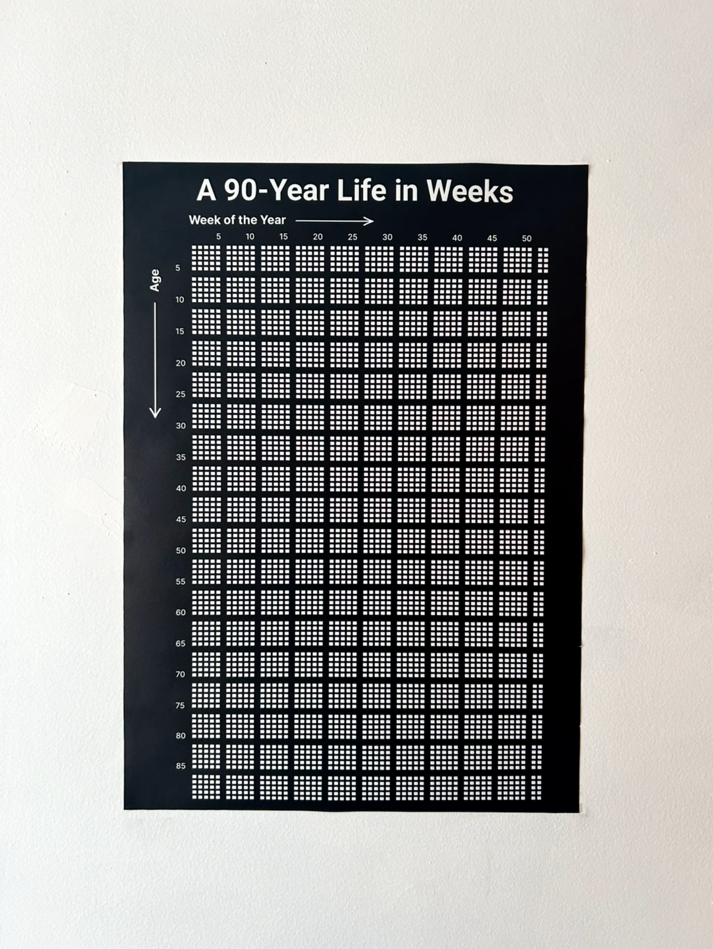 Track Your Life - Week by Week for 90 Years