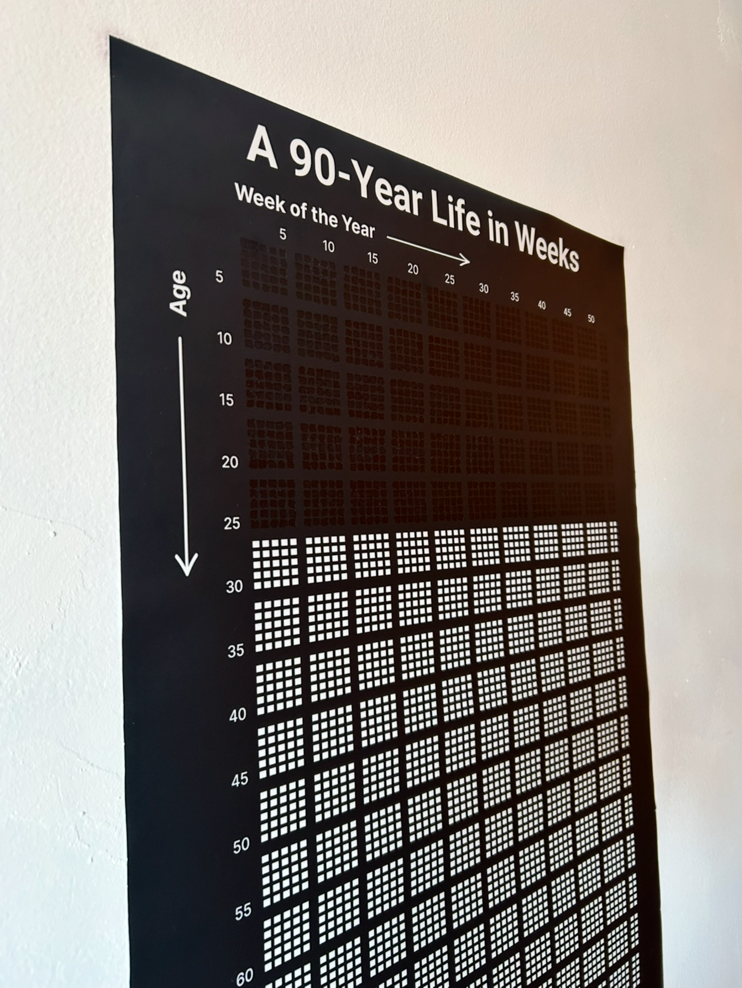 Track Your Life - Week by Week for 90 Years