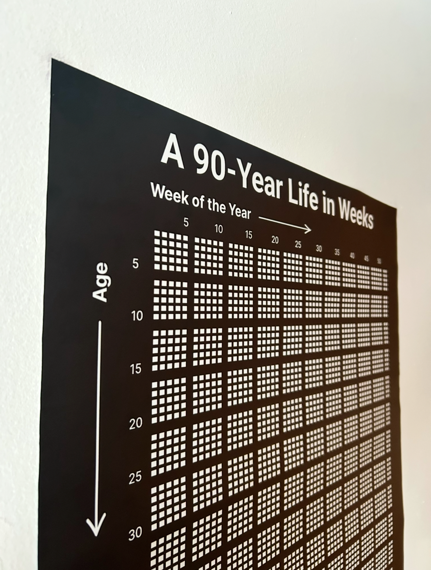 Track Your Life - Week by Week for 90 Years