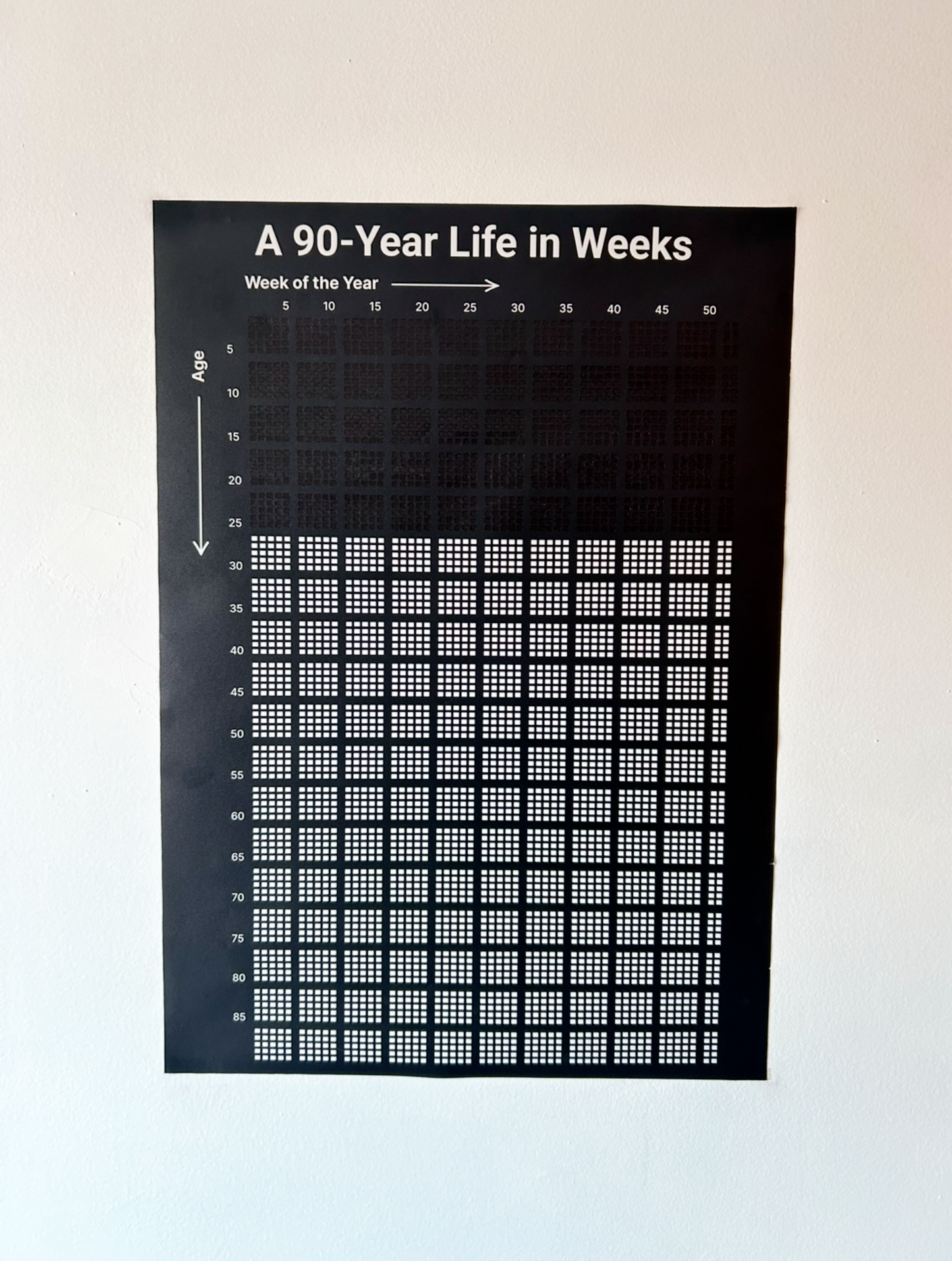 Track Your Life - Week by Week for 90 Years